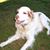 Lanny Mason's profile image
