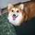Janice Rajca's profile image