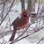 Linda Conklin's profile image