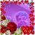 Barb Haire's profile image
