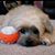 Jennifer Evans Biddulph's profile image