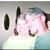 Brian Tims's profile image