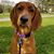 Debbie McKenzie Hane's profile image