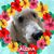 Deborah Wilson's profile image
