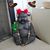 Jennifer Fricke Sawchuk's profile image