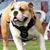 Vicki Barry LaShane's profile image