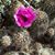Debra Renee Pulaski's profile image