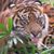 Judy Hower Zemanek's profile image