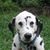 Susan Maud Lantz Carr's profile image