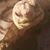 Stephen Hauke's profile image