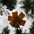 Mindy Van Tassel's profile image