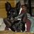 Jenny Mills Wilkins's profile image