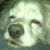 Kim Carter's profile image