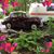Linda Medlin's profile image
