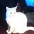 Doreen Jefferson's profile image