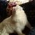 Marva J Meyers's profile image