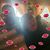 Matthew Mooney-Bickel's profile image