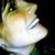 Janelle Burdell's profile image