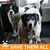 Dawn Fiedler's profile image