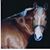 Barbara Daniel's profile image