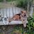 Patricia Rita Bolli Williams's profile image