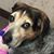 Alma Ivanov's profile image