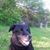 David J. Flowers's profile image