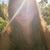 Melissa Cowan's profile image