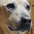 Deena Darnell VanCamp's profile image
