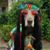 Wendy Cornwell Quinn's profile image