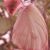 Einger Desjardins's profile image
