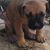 Ben Broomhead's profile image