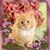Jane Larson's profile image