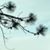 Libby Huson Krautsak's profile image