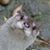 William M Ramsell III's profile image