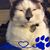 Ree Breckel's profile image