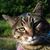 Judy Woodburn's profile image