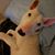 Kim Ritzmann's profile image