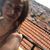 Teddi Rausch's profile image