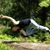 Florian Louesdon's profile image