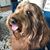 Michaele Willis Smith's profile image