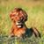 James Bettis's profile image