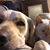 Amy Ebbesen's profile image