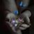 Iris Monreal's profile image