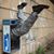 Janet Gunter's profile image