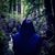 Madeline Chea's profile image