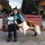 Marcela Nuñez Castro's profile image