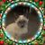 Susan Szumanski's profile image