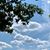Amy McIntyre Carusillo's profile image