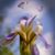Kathy Taylor Hale's profile image